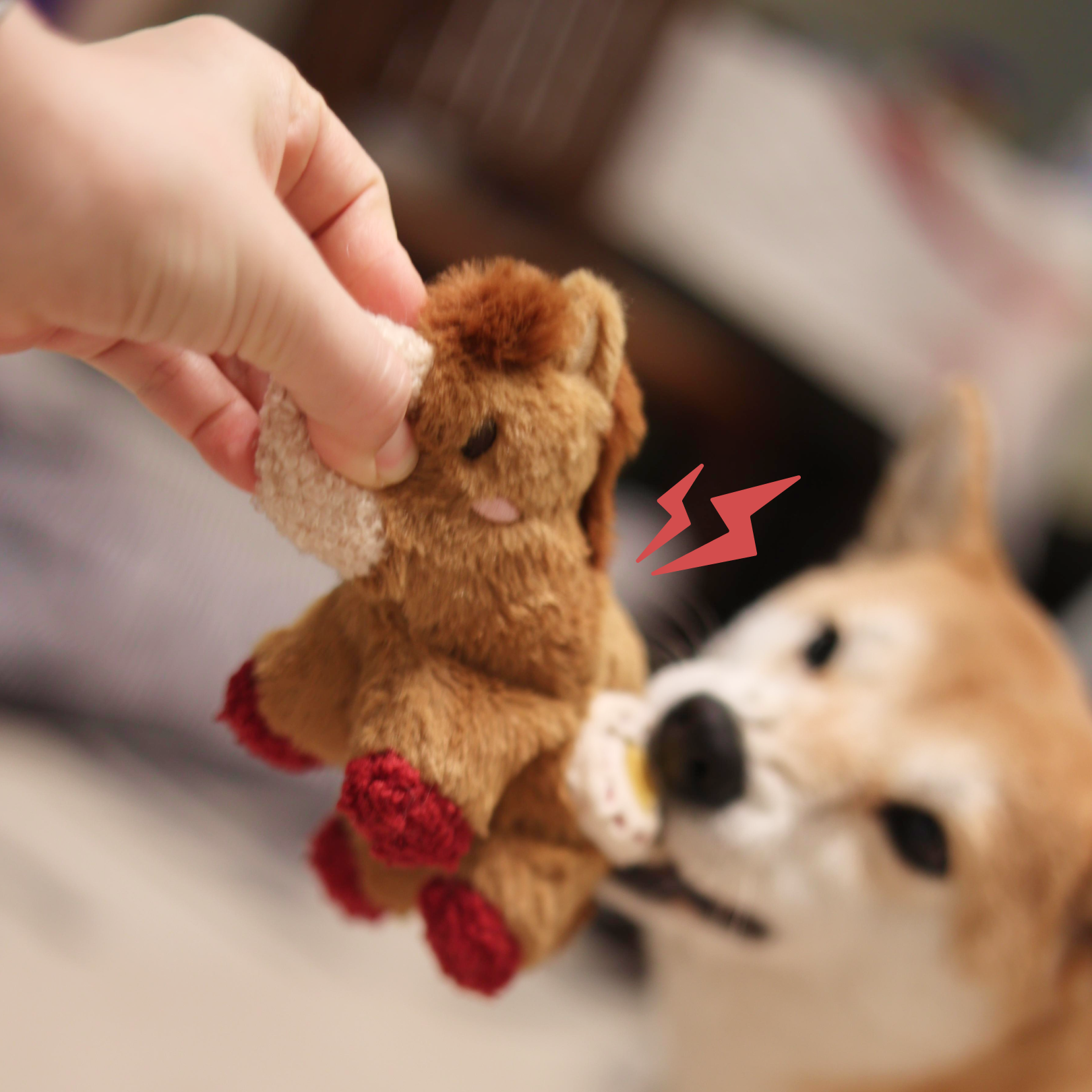 Fortune Pony Dog Plush Toy