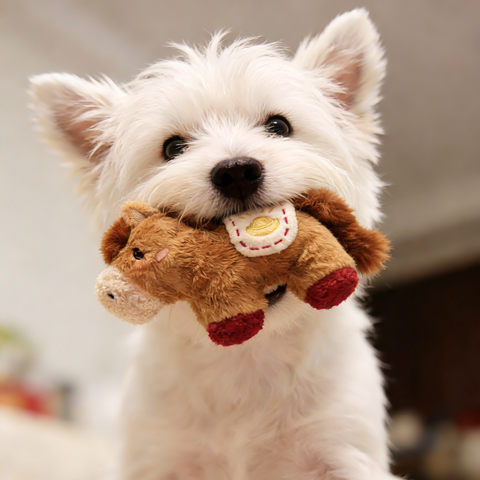 Fortune Pony Dog Plush Toy