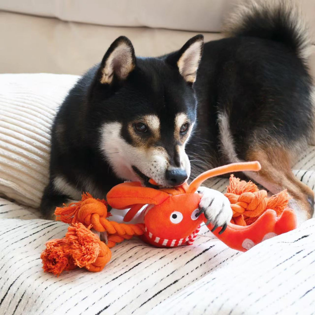 Christmas Lobster Dog Rope Toy