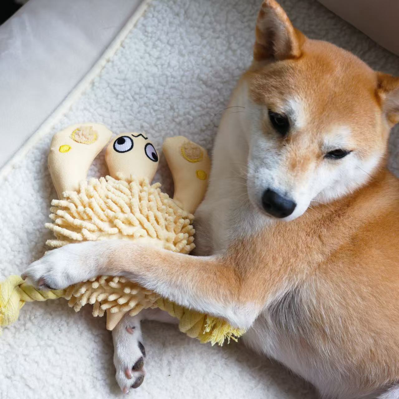 Turtle Dog Rope Toy