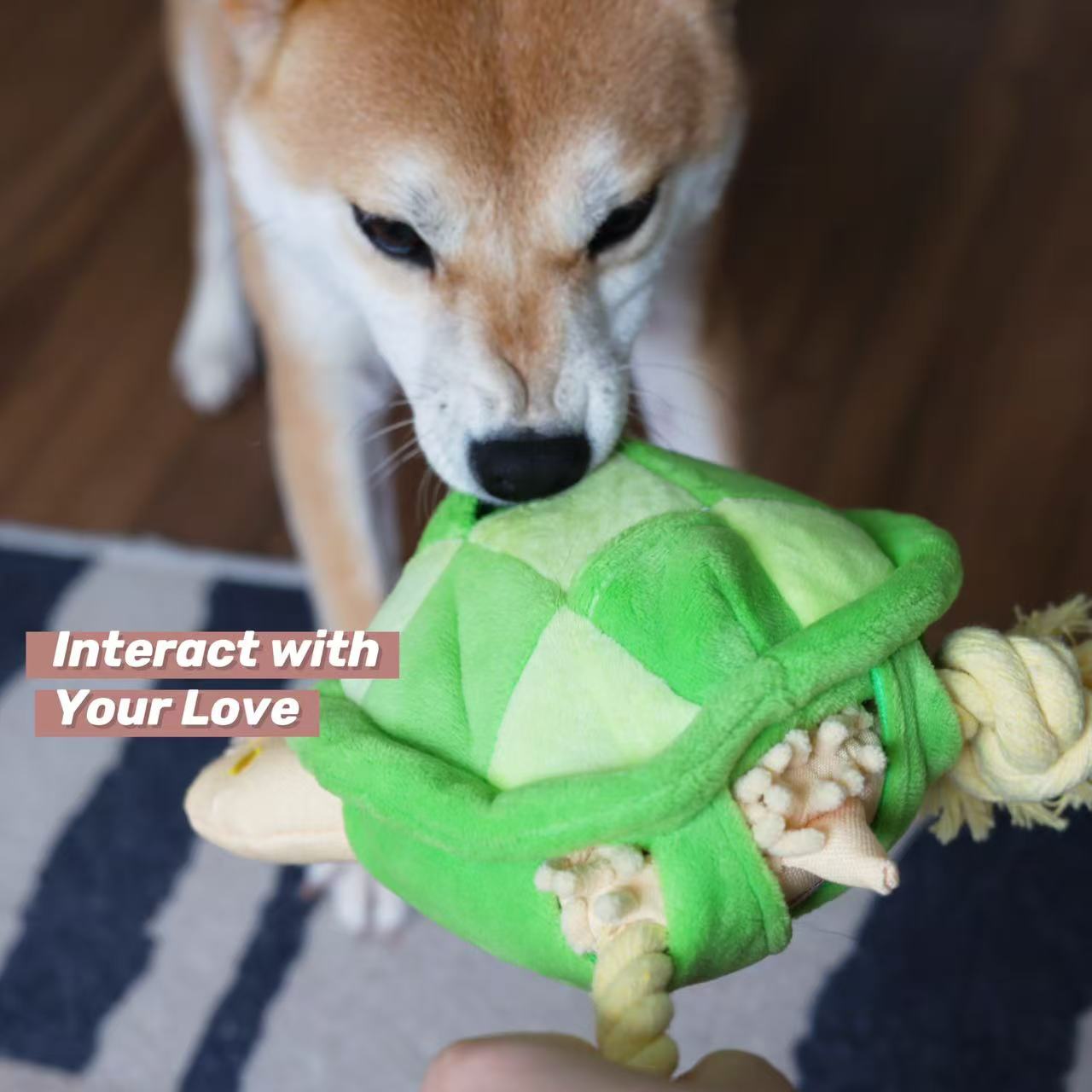 Turtle Dog Rope Toy