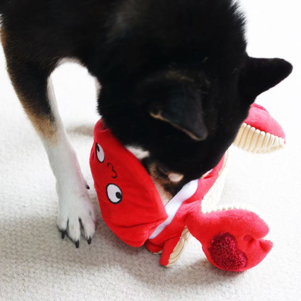 Crab Dog Puzzle Toy