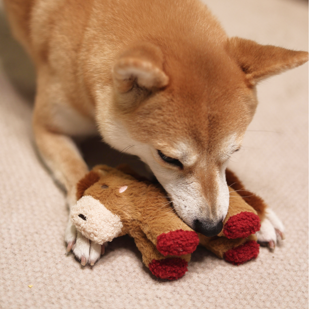 Fortune Pony Dog Plush Toy