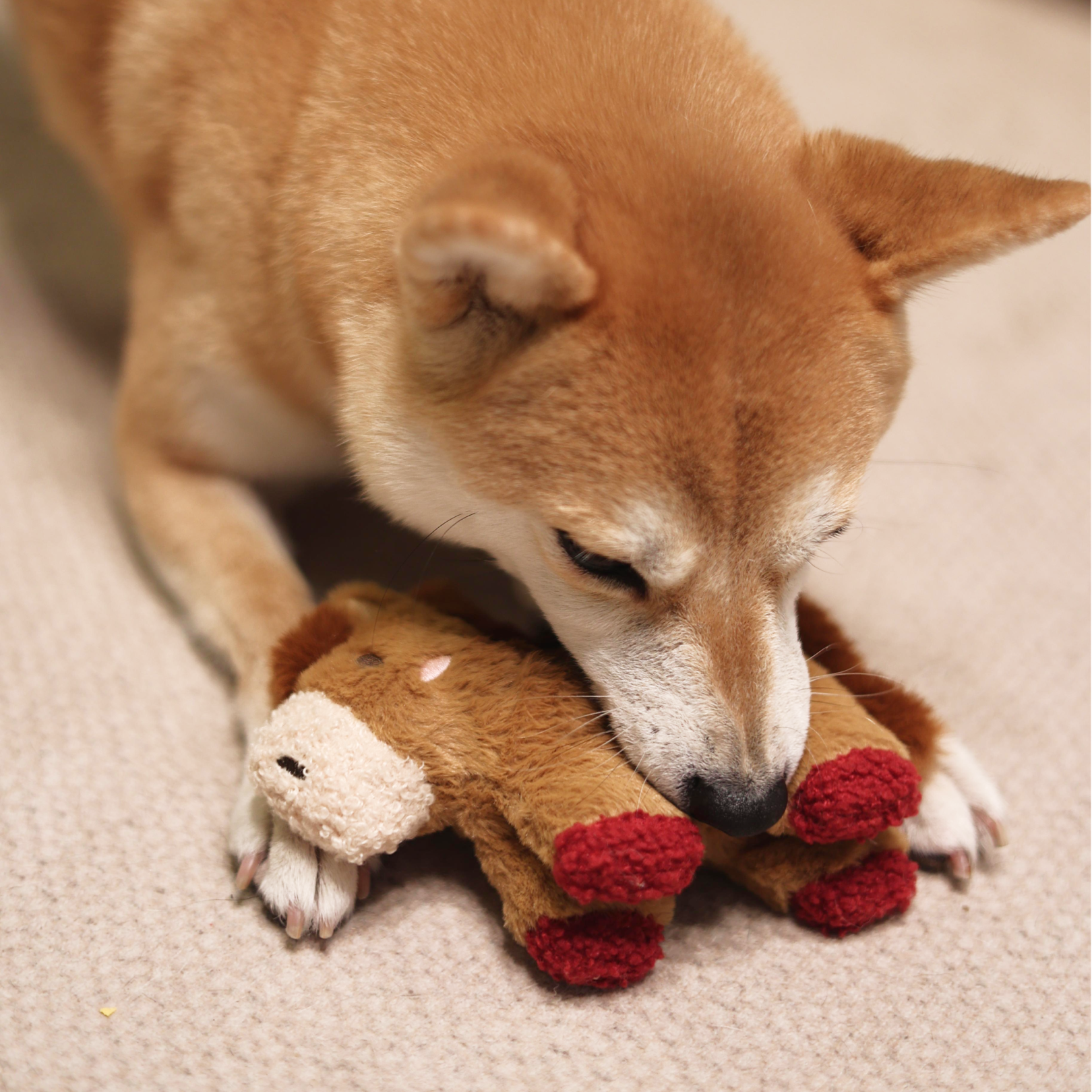 Fortune Pony Dog Plush Toy