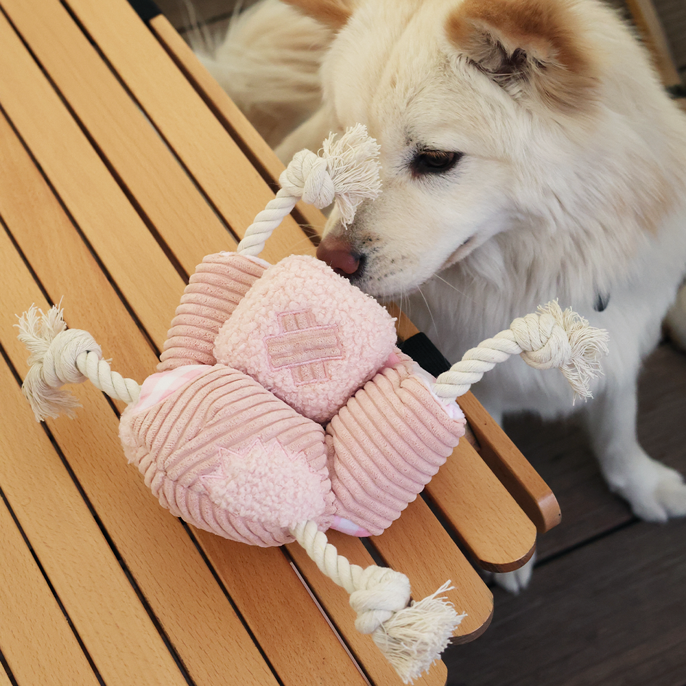 Couch Dog Rope Toy