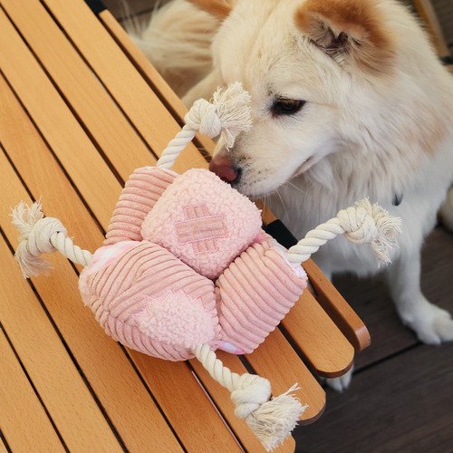 Couch Dog Rope Toy