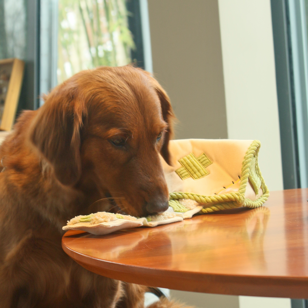 Tissue Box Dog Puzzle Toy