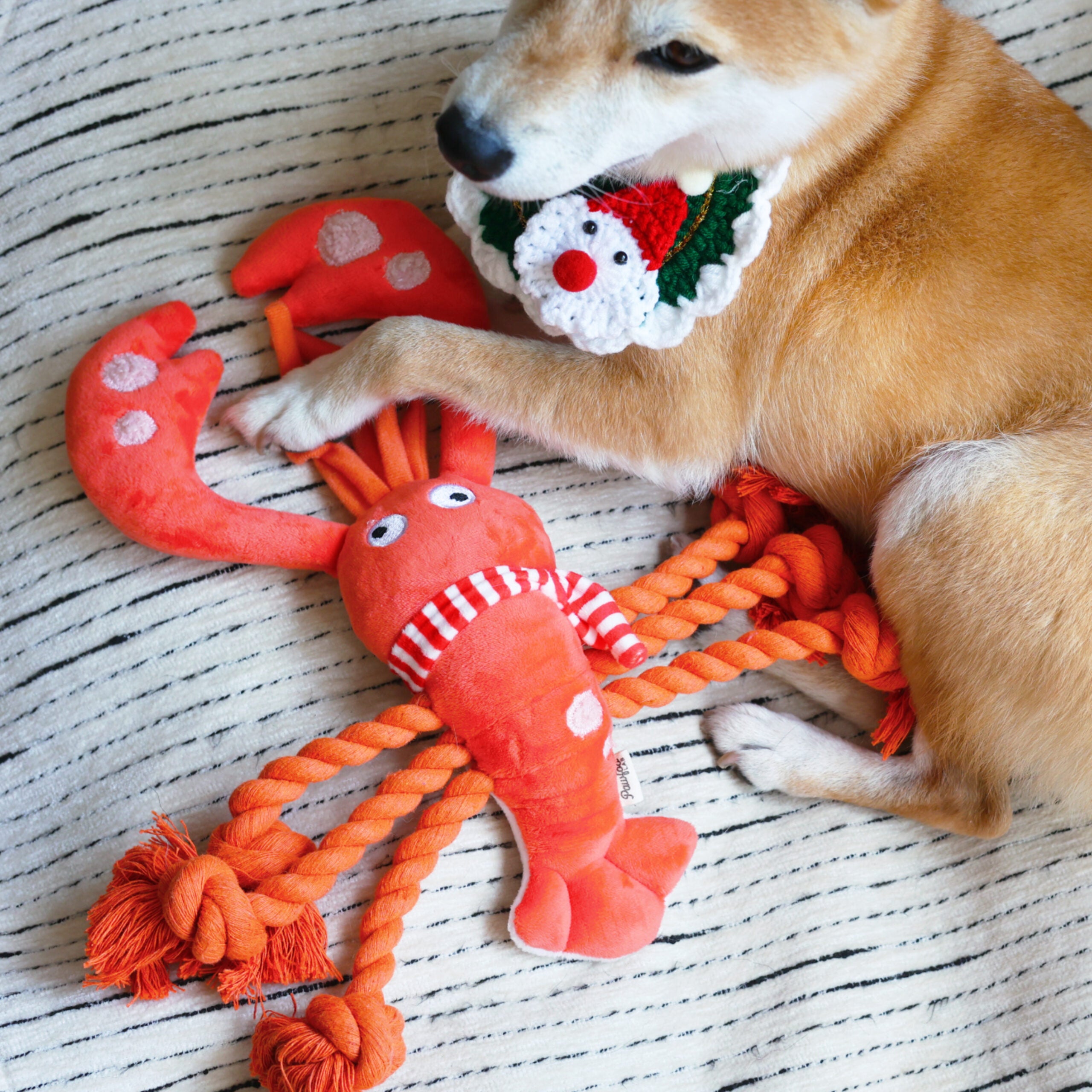 Christmas Lobster Dog Rope Toy