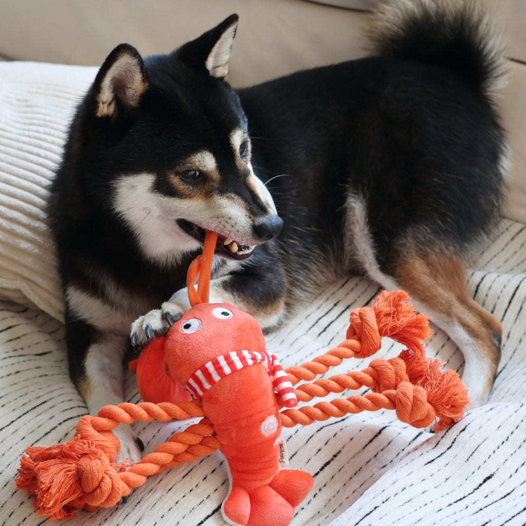 Christmas Lobster Dog Rope Toy
