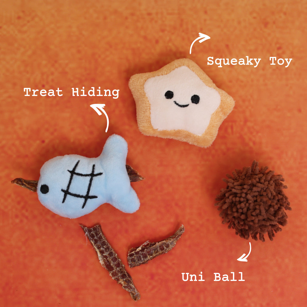 Crab Dog Puzzle Toy