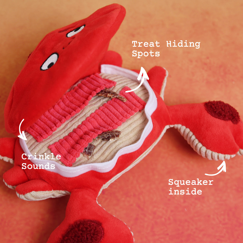 Crab Dog Puzzle Toy
